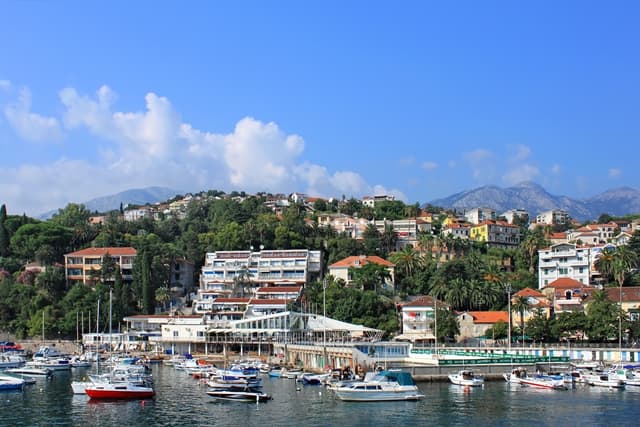 Герцег Новый