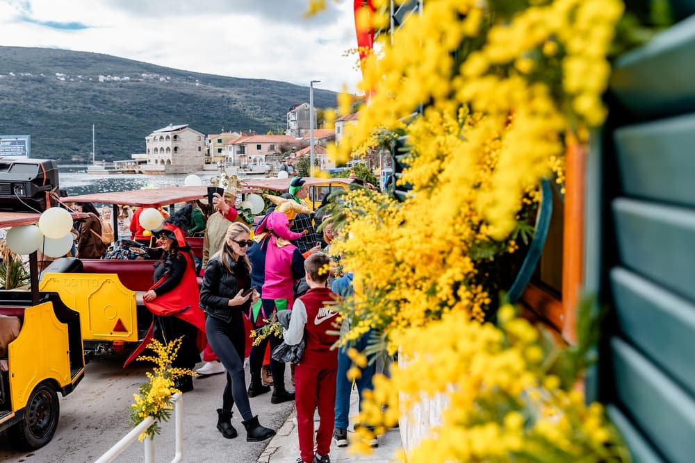 Praznik mimoze 57. "Dok sve spava, mimoza se budi"