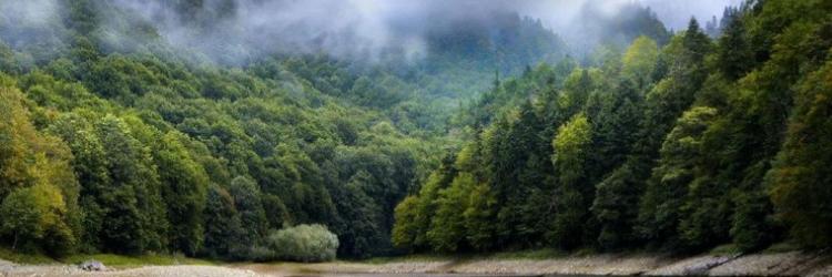 Nationalpark „Biogradska Gora“