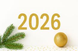 Programma di Capodanno nelle città del Montenegro