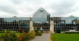 ЛОЗНИЦА